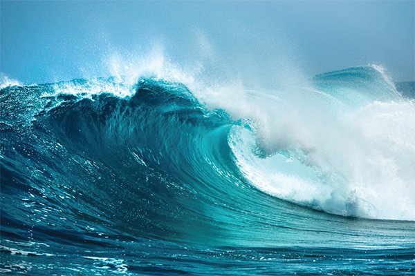 FTOE_Landing-page-banners-2-07